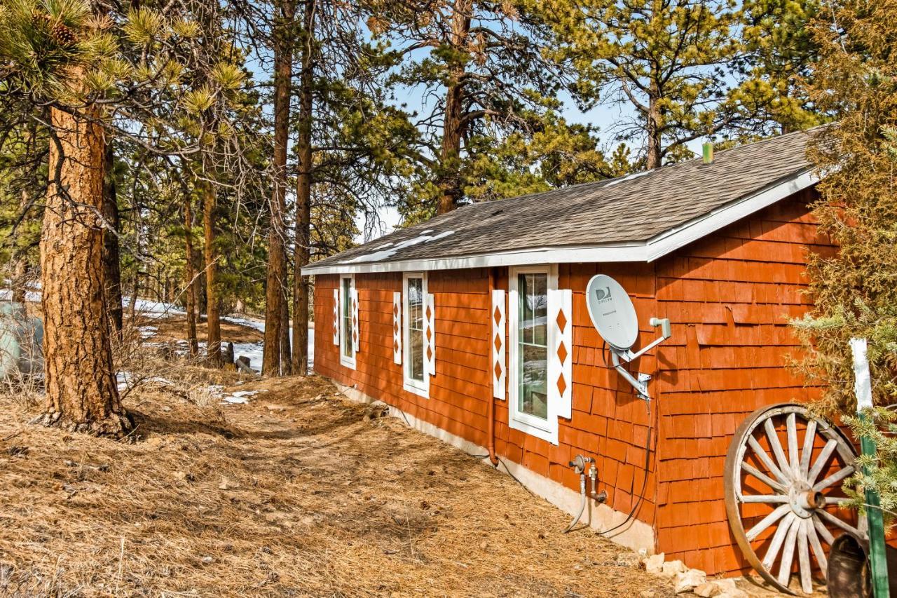 Grandma'S Cabin Estes Park Exterior foto